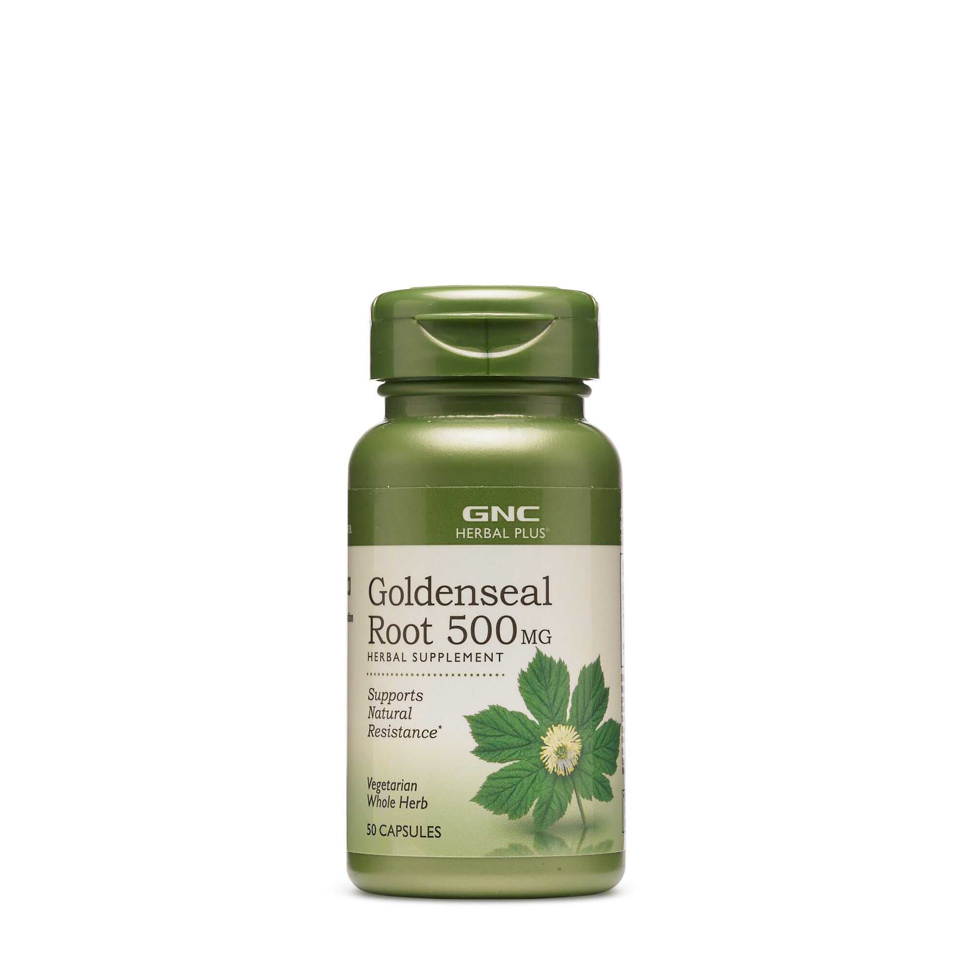 Golden root: medicinal properties, contraindications, reviews. Golden Root Tincture 4 Golden root: medicinal properties, contraindications, reviews. Golden Root Tincture 49